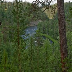 Kuusamo (Oulangan kansallispuisto)