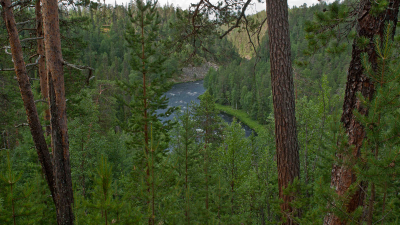 Kuusamo (Oulangan kansallispuisto)